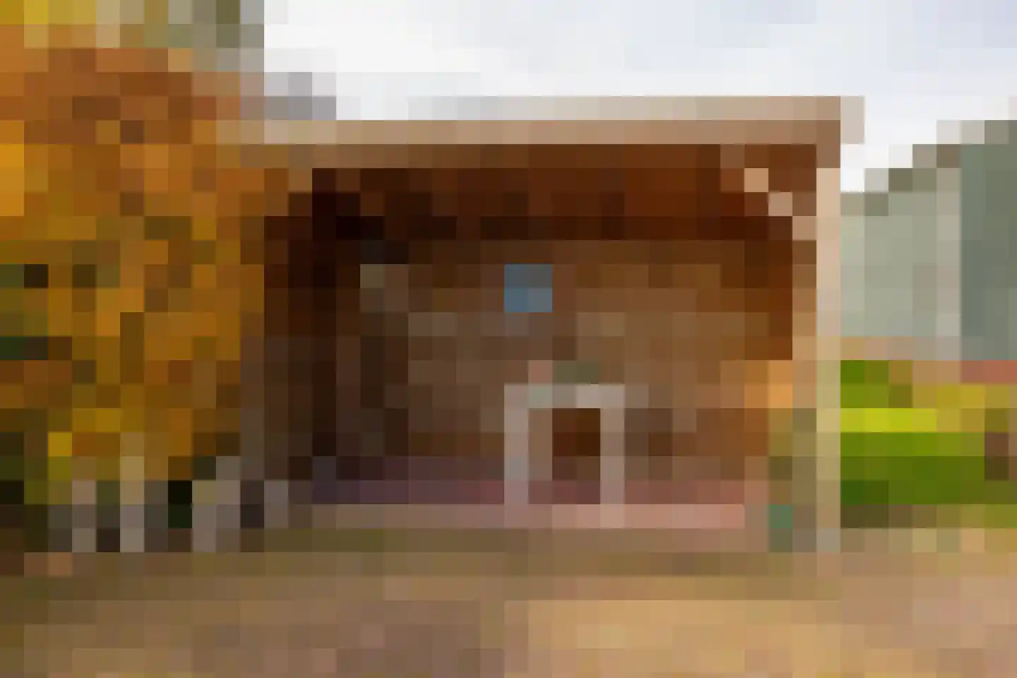 Verlengde Middenraai 117 Nieuw-Balinge thumbnail 74