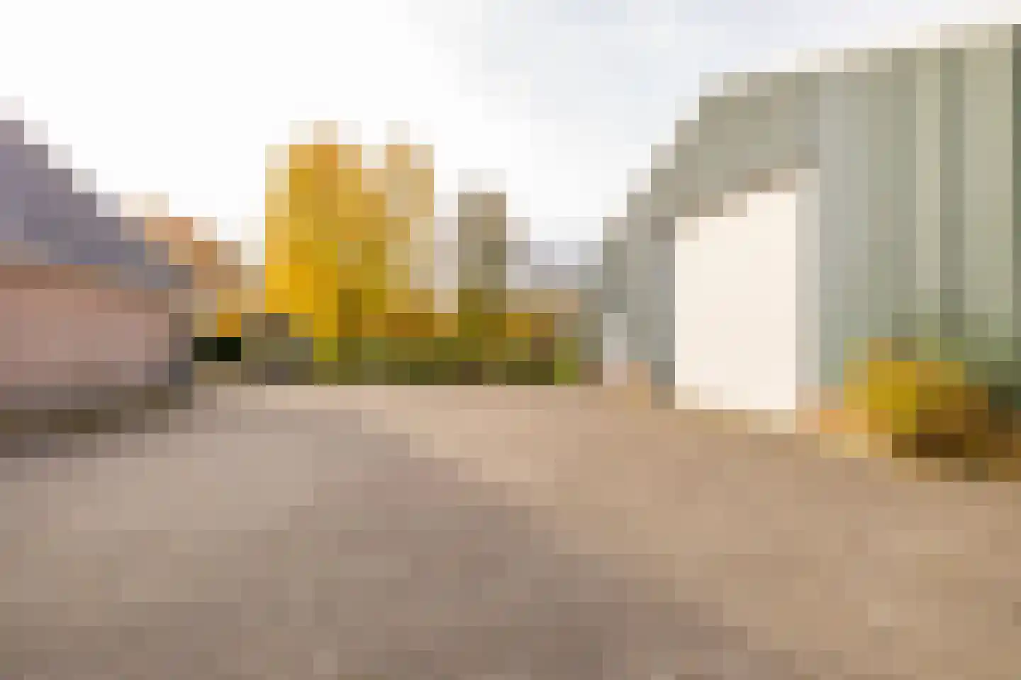 Verlengde Middenraai 117 Nieuw-Balinge thumbnail 77