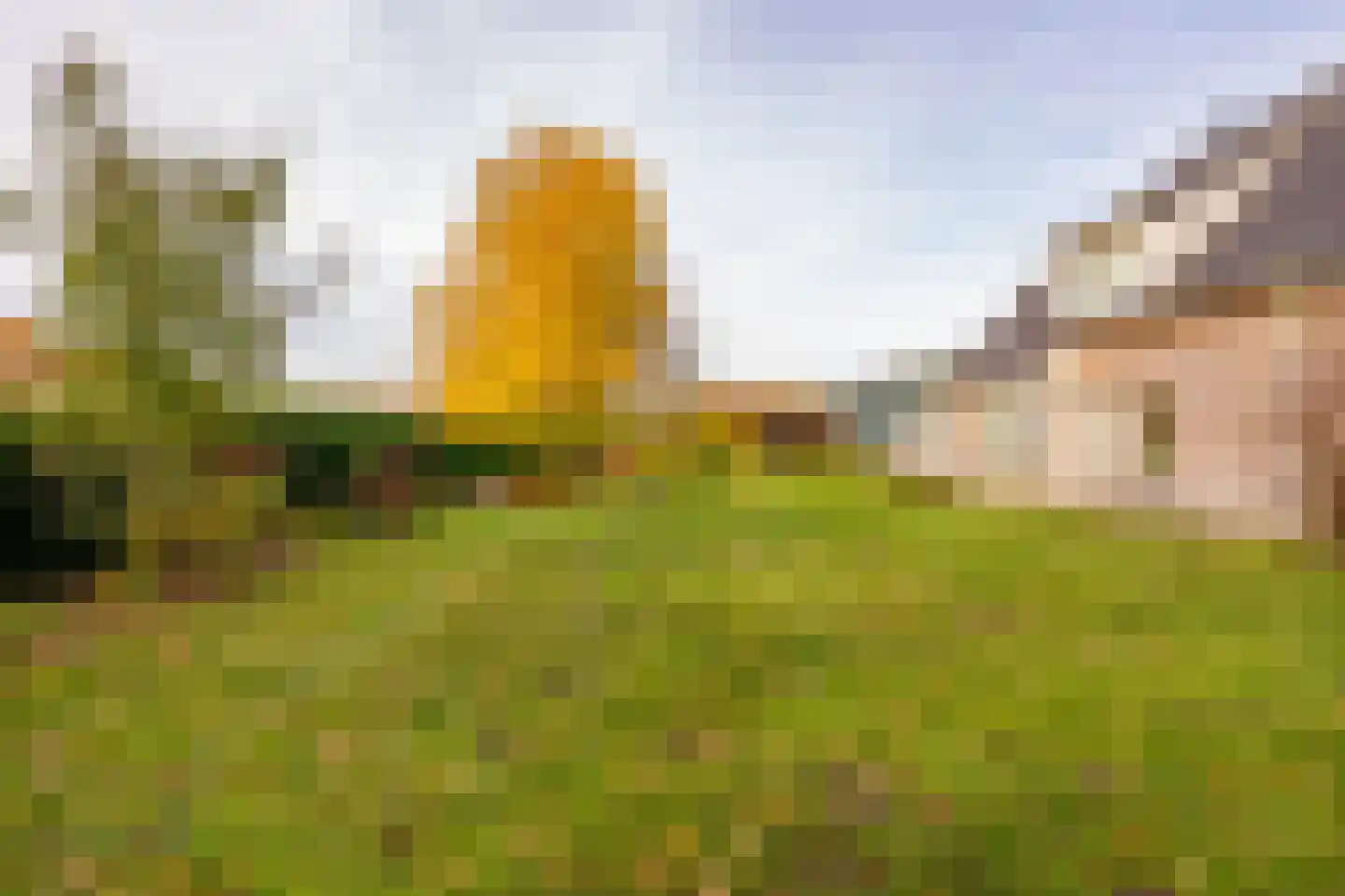 Verlengde Middenraai 117 Nieuw-Balinge thumbnail 78