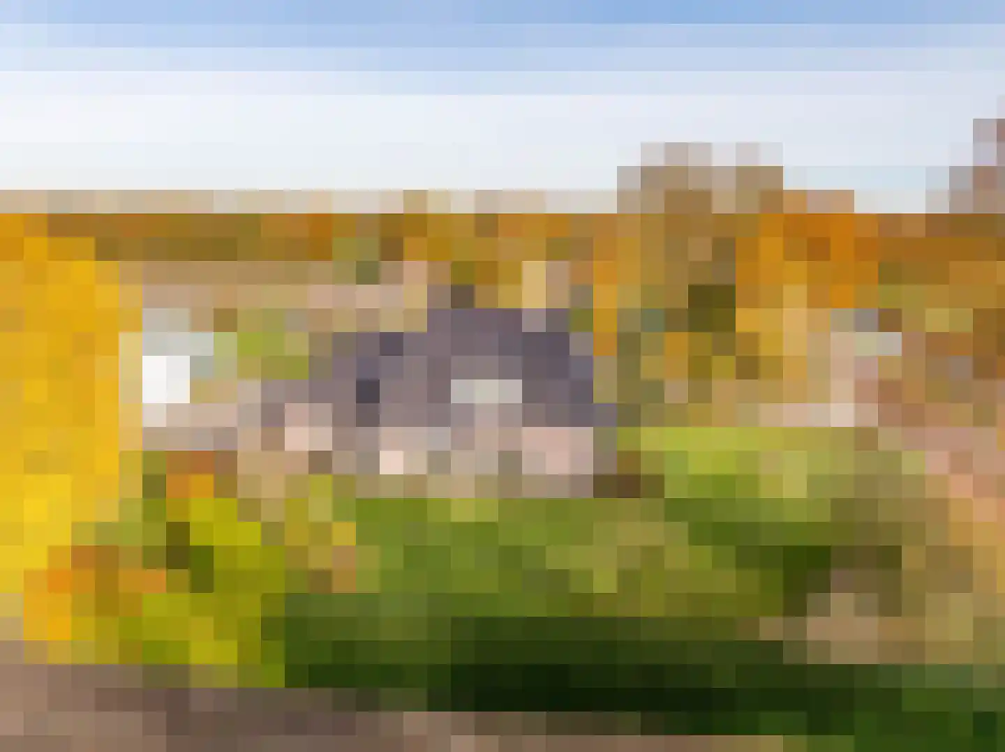Verlengde Middenraai 117 Nieuw-Balinge thumbnail 79