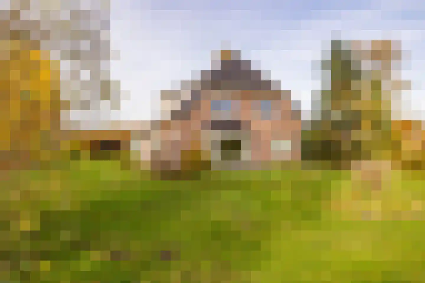 Verlengde Middenraai 117 Nieuw-Balinge thumbnail 80