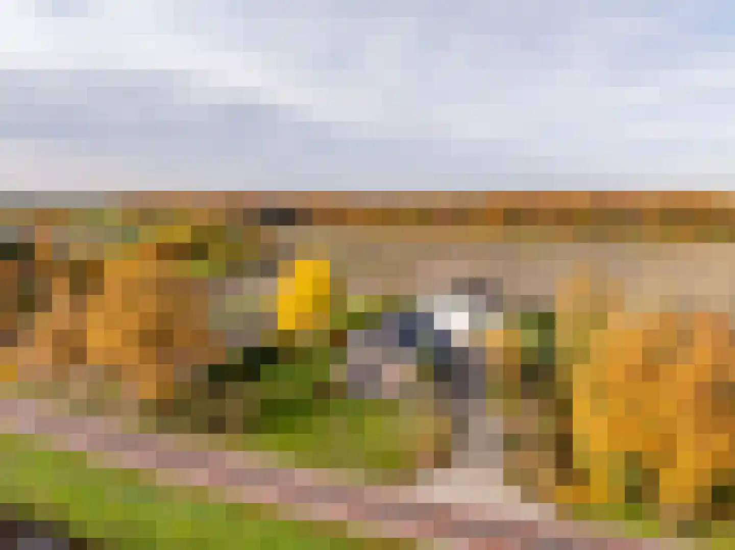 Verlengde Middenraai 117 Nieuw-Balinge thumbnail 83