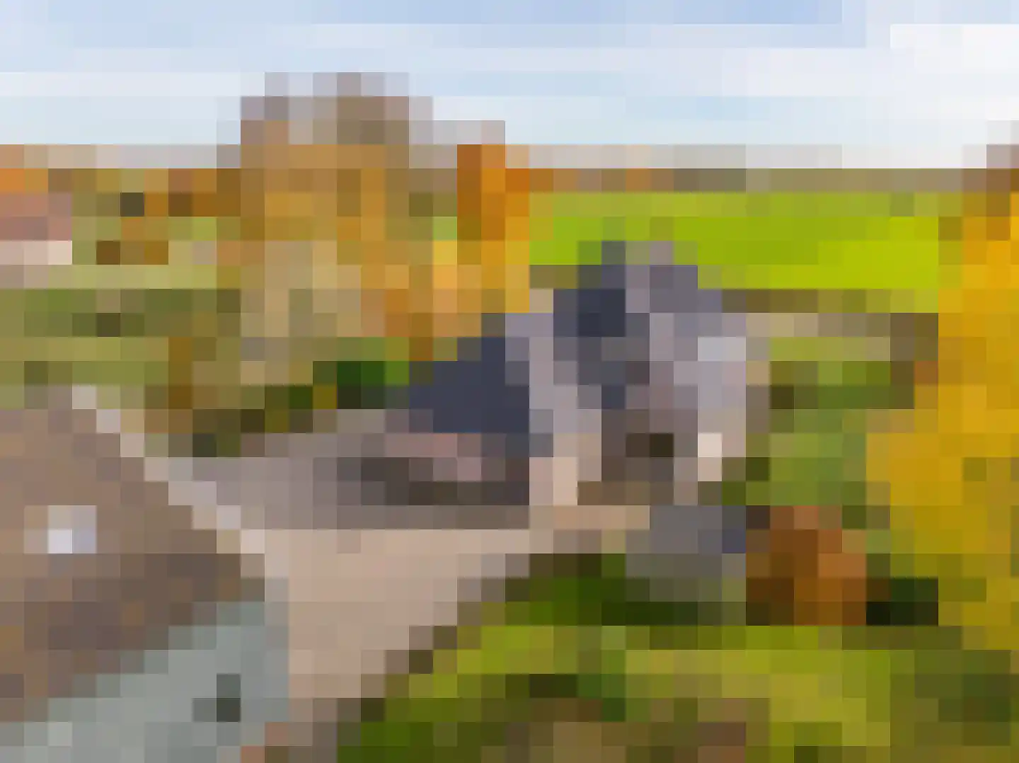 Verlengde Middenraai 117 Nieuw-Balinge thumbnail 85