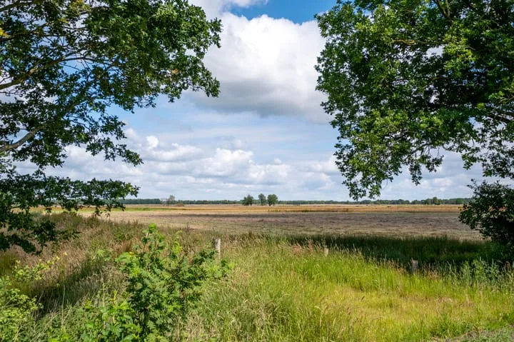 Verlengde Middenraai 23 Nieuw-Balinge thumbnail 65