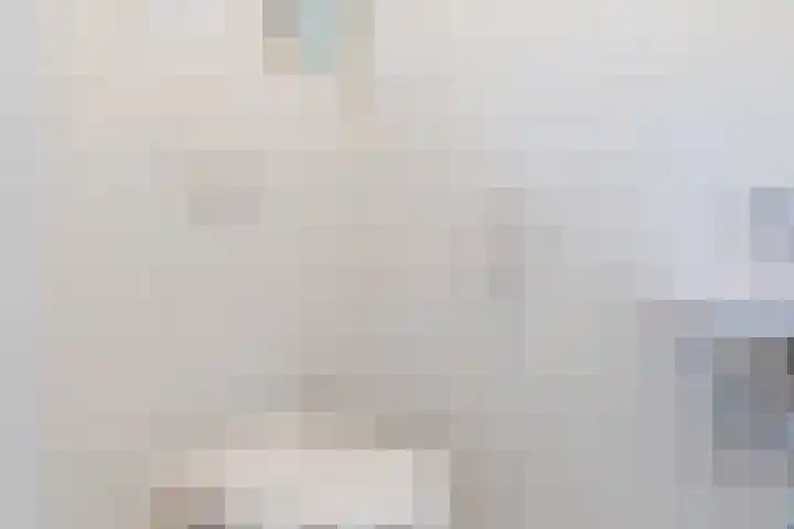 Verlengde Middenraai 93 Nieuw-Balinge thumbnail 11