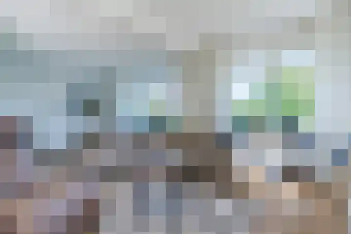 Verlengde Middenraai 93 Nieuw-Balinge thumbnail 13