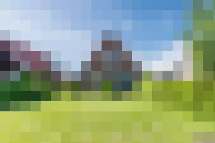 Verlengde Middenraai 93 Nieuw-Balinge foto 3