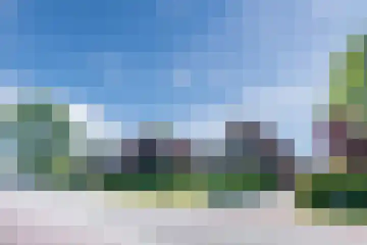 Verlengde Middenraai 93 Nieuw-Balinge thumbnail 4