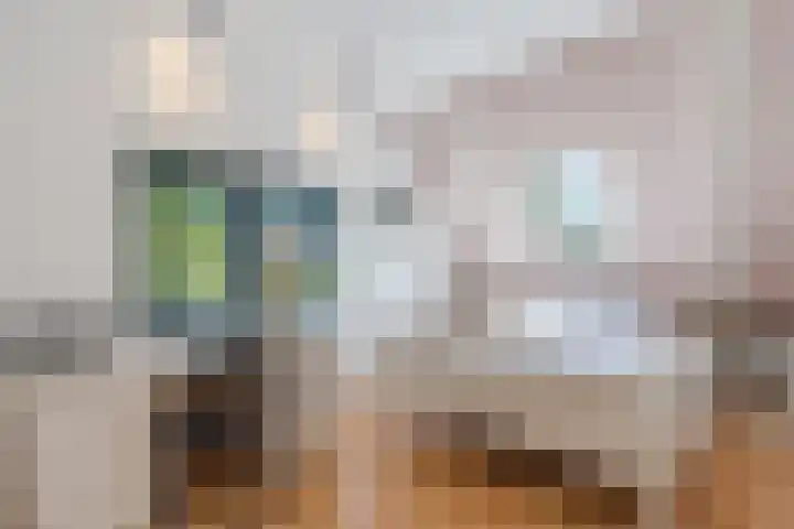 Verlengde Middenraai 93 Nieuw-Balinge thumbnail 45