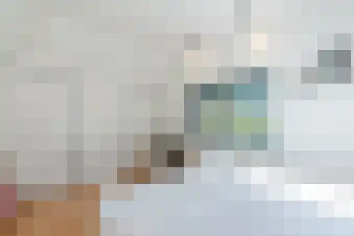 Verlengde Middenraai 93 Nieuw-Balinge thumbnail 46