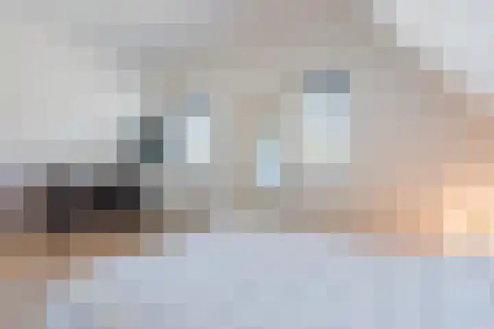 Verlengde Middenraai 93 Nieuw-Balinge thumbnail 51