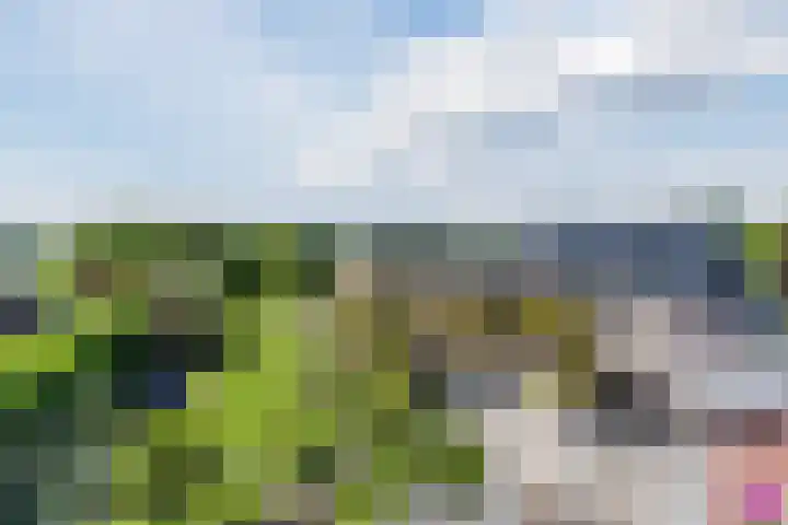 Verlengde Middenraai 93 Nieuw-Balinge thumbnail 56