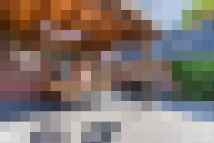 Verlengde Middenraai 93 Nieuw-Balinge thumbnail 60