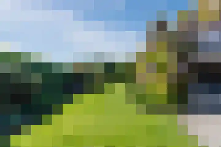 Verlengde Middenraai 93 Nieuw-Balinge thumbnail 63