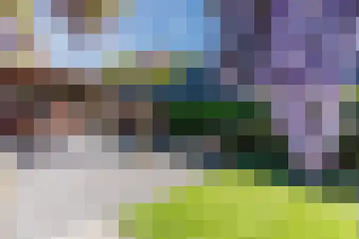 Verlengde Middenraai 93 Nieuw-Balinge thumbnail 64