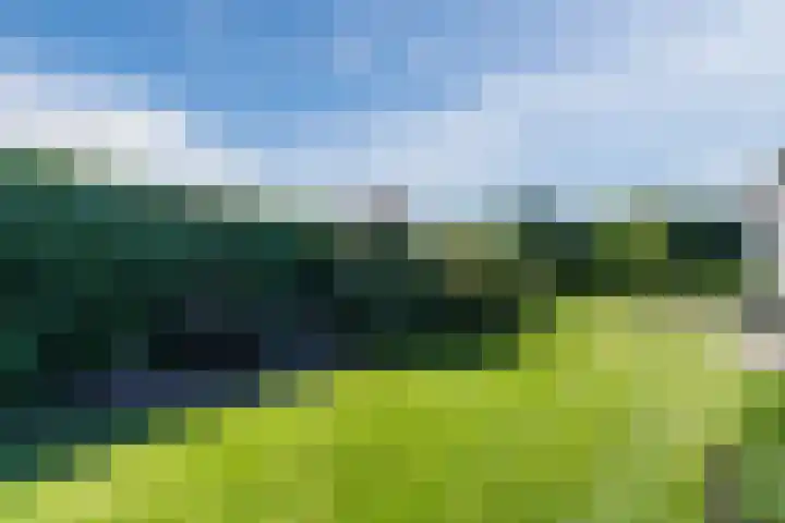 Verlengde Middenraai 93 Nieuw-Balinge thumbnail 65