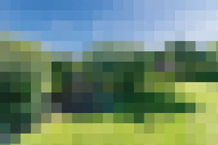 Verlengde Middenraai 93 Nieuw-Balinge thumbnail 66