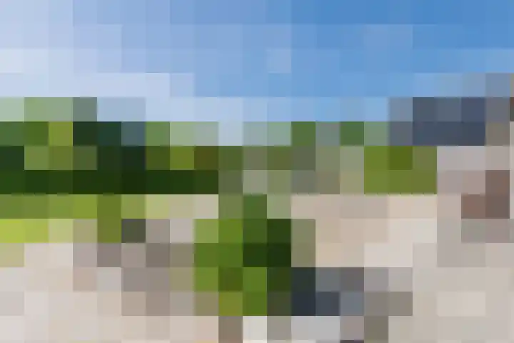 Verlengde Middenraai 93 Nieuw-Balinge thumbnail 67