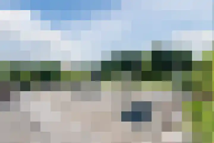 Verlengde Middenraai 93 Nieuw-Balinge thumbnail 69