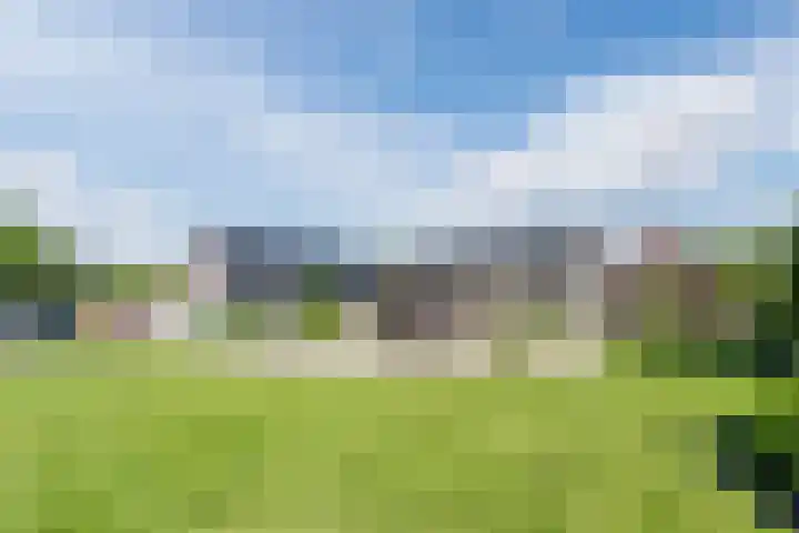 Verlengde Middenraai 93 Nieuw-Balinge thumbnail 70
