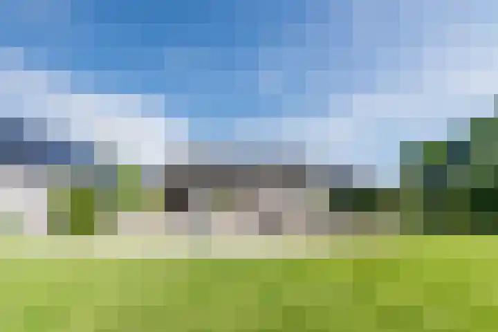Verlengde Middenraai 93 Nieuw-Balinge thumbnail 71