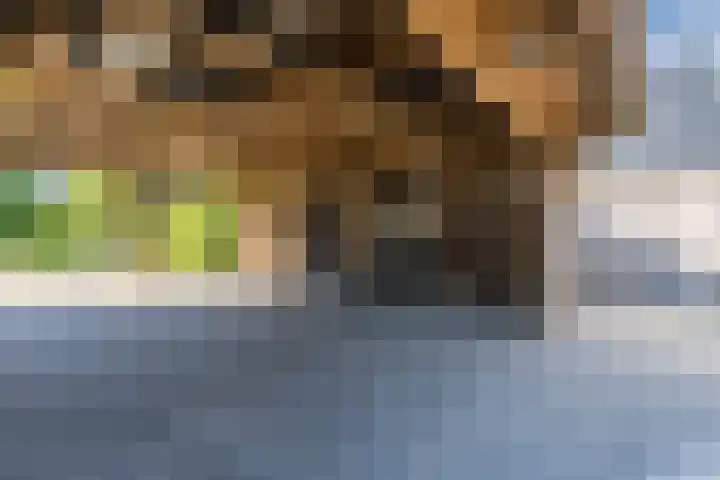 Verlengde Middenraai 93 Nieuw-Balinge thumbnail 74