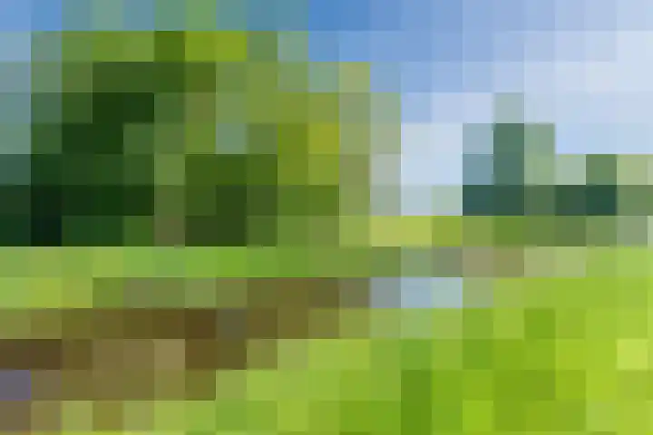 Verlengde Middenraai 93 Nieuw-Balinge thumbnail 75