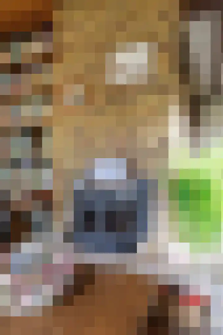 Verlengde Molenlaan 2 A Siddeburen thumbnail 17