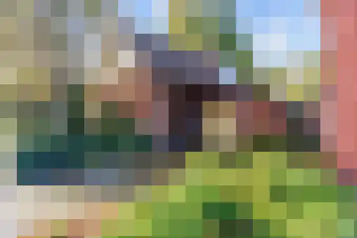 Verlengde Molenlaan 2 A Siddeburen foto 2