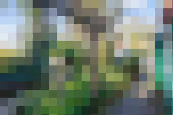 Verlengde Molenlaan 2 A Siddeburen thumbnail 42