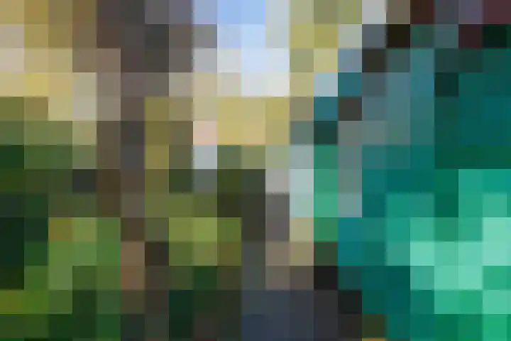 Verlengde Molenlaan 2 A Siddeburen thumbnail 43