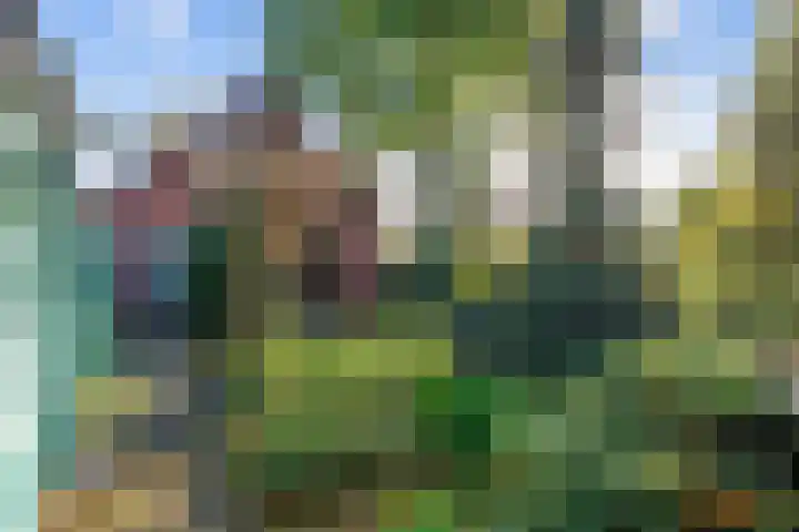 Verlengde Molenlaan 2 A Siddeburen thumbnail 46