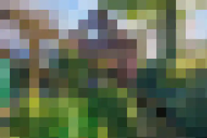 Verlengde Molenlaan 2 A Siddeburen thumbnail 47