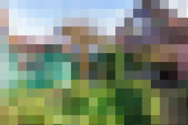 Verlengde Molenlaan 2 A Siddeburen thumbnail 48