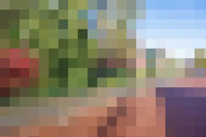 Verlengde Molenlaan 2 A Siddeburen thumbnail 5