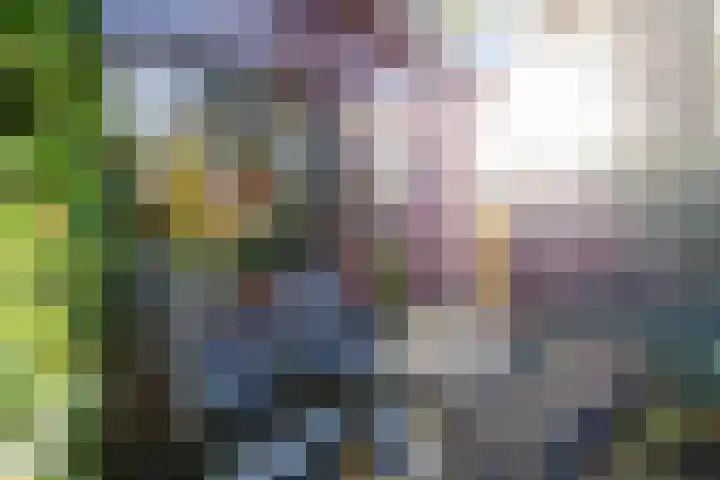Verlengde Molenlaan 2 A Siddeburen thumbnail 50