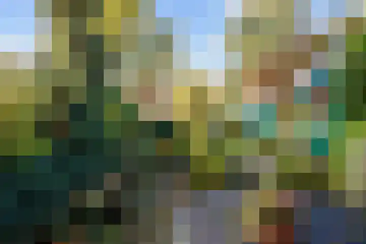 Verlengde Molenlaan 2 A Siddeburen thumbnail 52