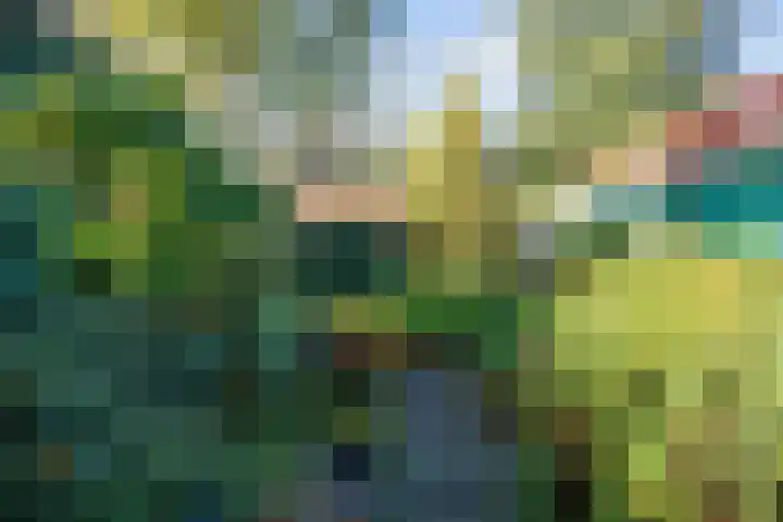 Verlengde Molenlaan 2 A Siddeburen thumbnail 53