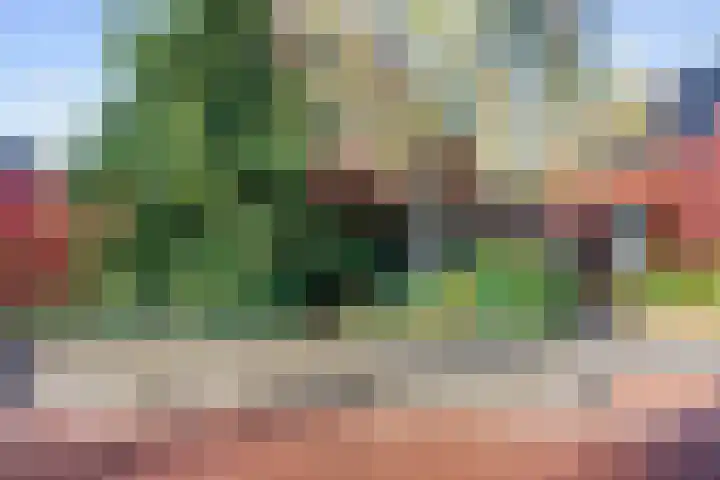 Verlengde Molenlaan 2 A Siddeburen thumbnail 6