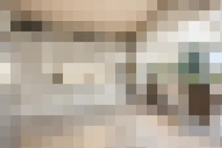 Verlengde Molenstraat 12 Winssen thumbnail 14