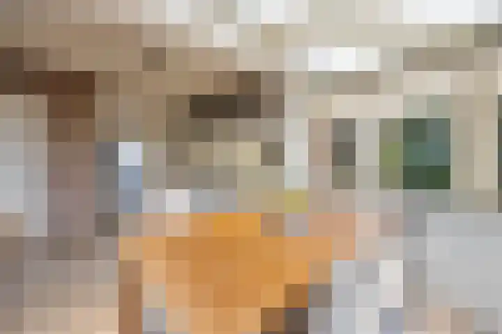 Verlengde Molenstraat 12 Winssen thumbnail 18