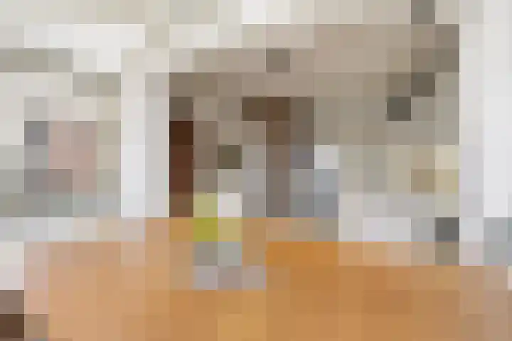 Verlengde Molenstraat 12 Winssen thumbnail 19