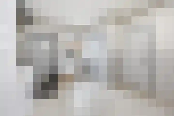 Verlengde Molenstraat 12 Winssen thumbnail 21