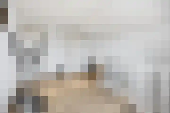Verlengde Molenstraat 12 Winssen thumbnail 27
