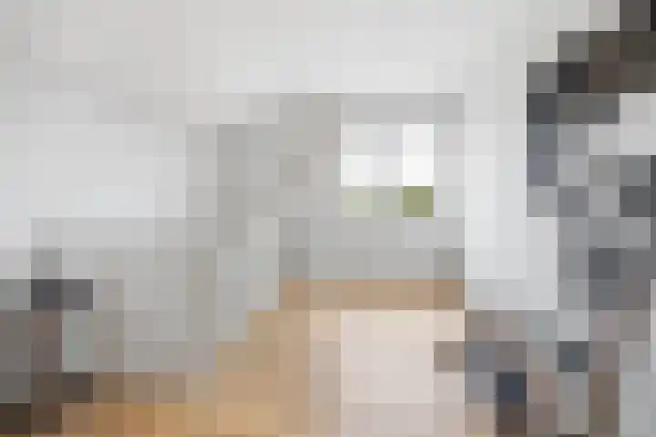 Verlengde Molenstraat 12 Winssen thumbnail 28