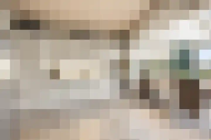 Verlengde Molenstraat 12 Winssen thumbnail 4