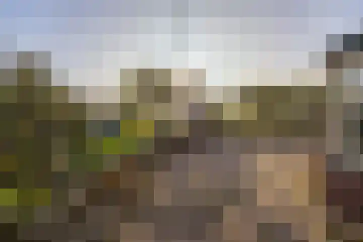 Verlengde Molenstraat 12 Winssen thumbnail 46