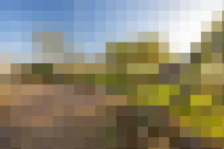Verlengde Molenstraat 12 Winssen thumbnail 47