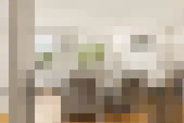Verlengde Molenstraat 12 Winssen thumbnail 5