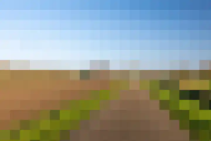 Verlengde Molenstraat 12 Winssen thumbnail 62